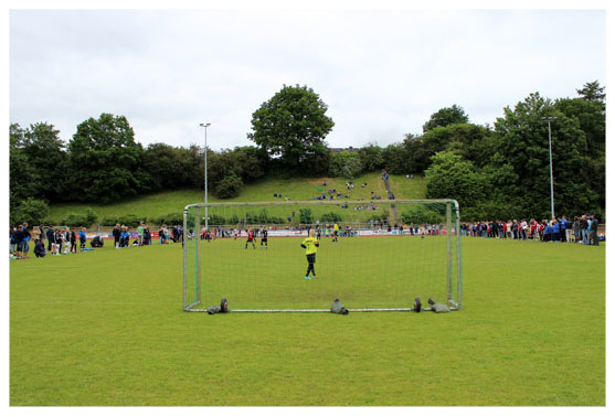 sh_cup_2014_304